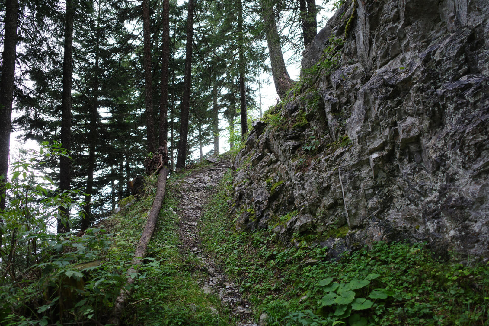 Wanderweg um felsige Nase