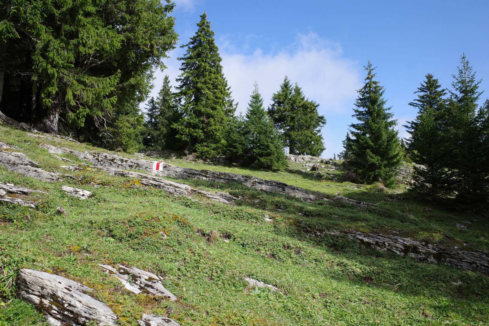 Wanderweg über felsige Wiese