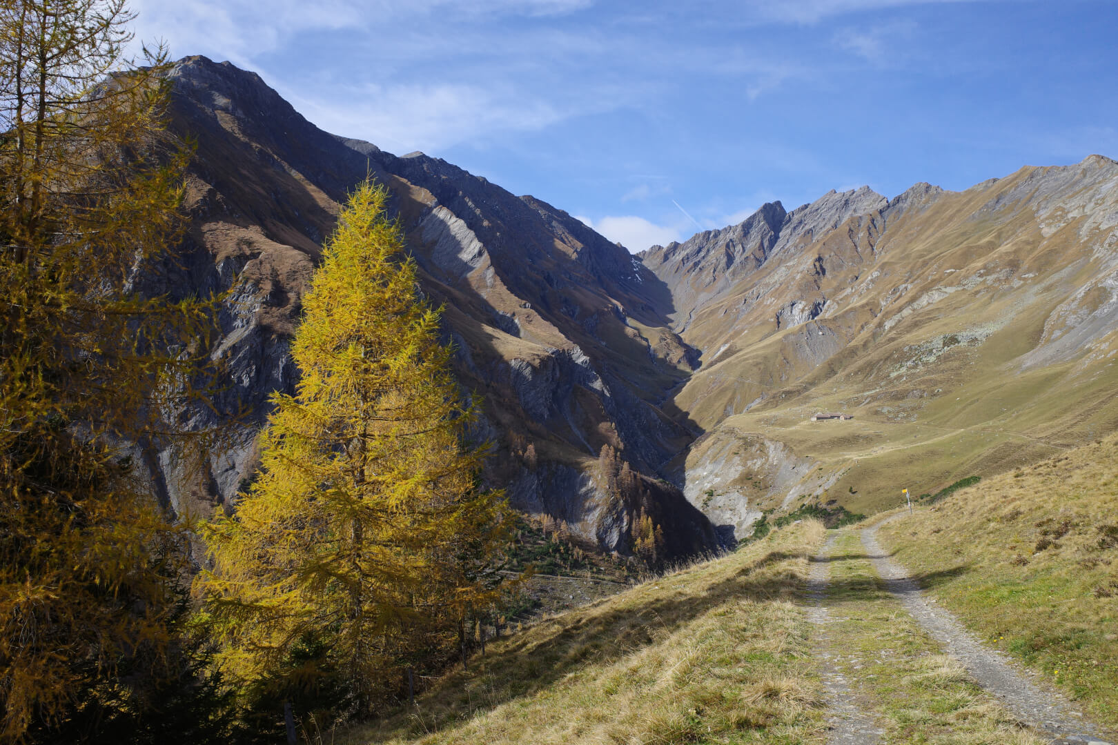 Calvina im Herbst