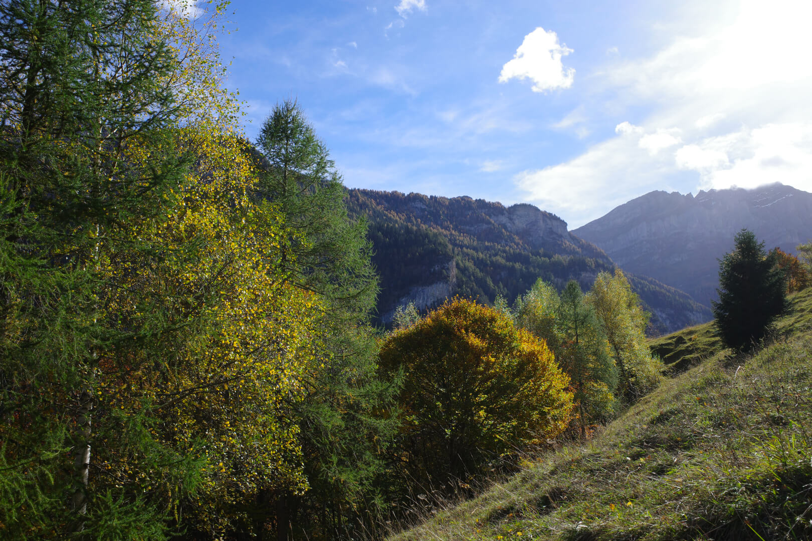 Herbstfarben