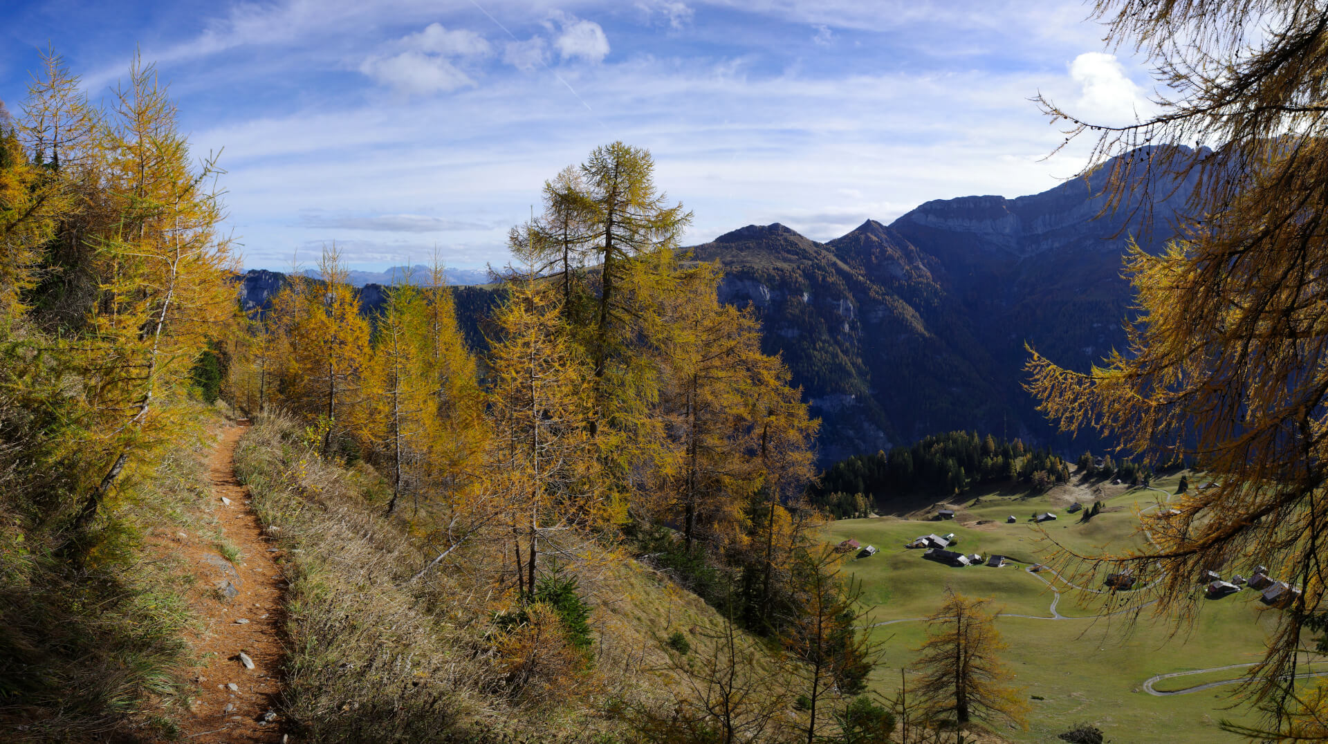 Leuchtende Lärchen