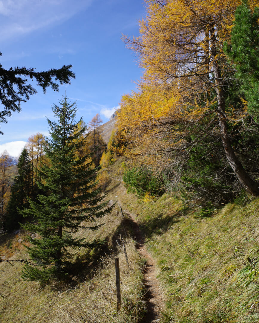 Lärchen Wanderung