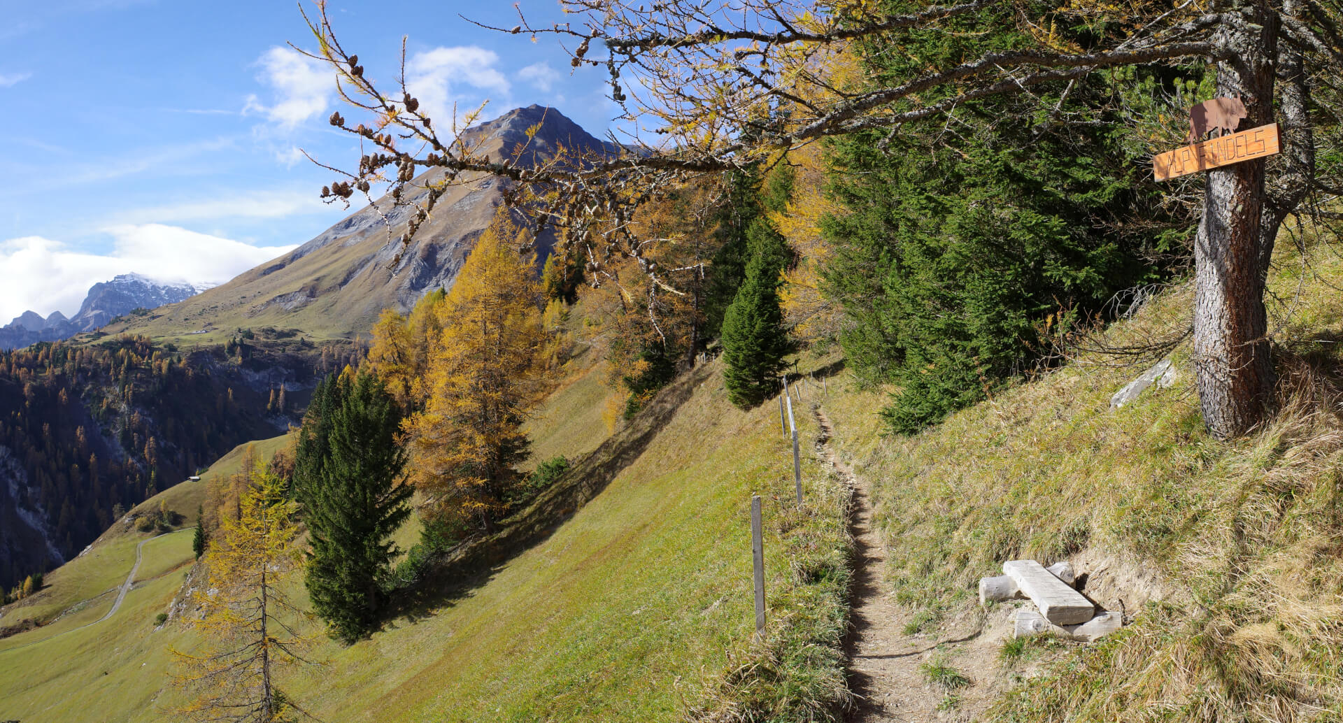 Wanderweg Alp Findels