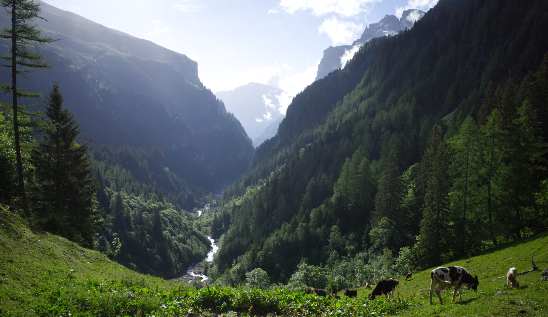 Blick auf die Tamina
