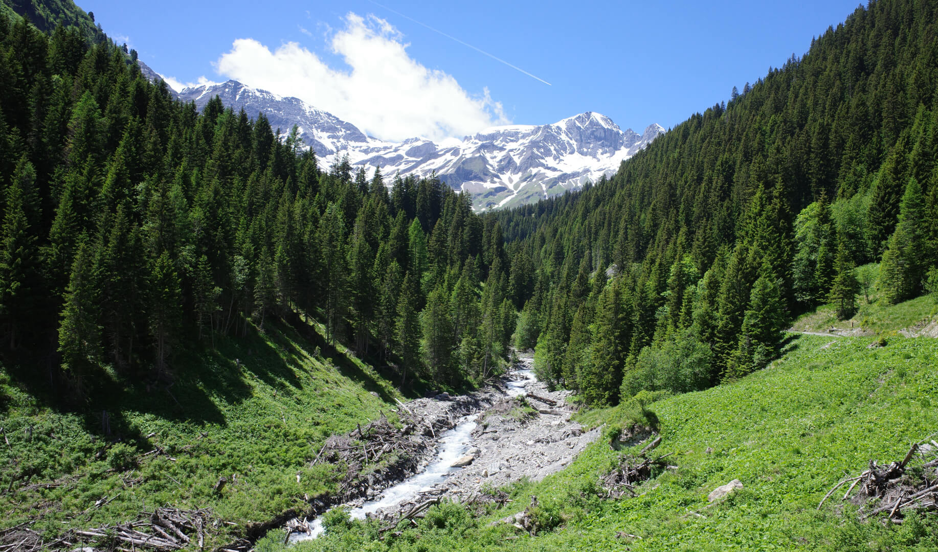 Calfeisen Tal