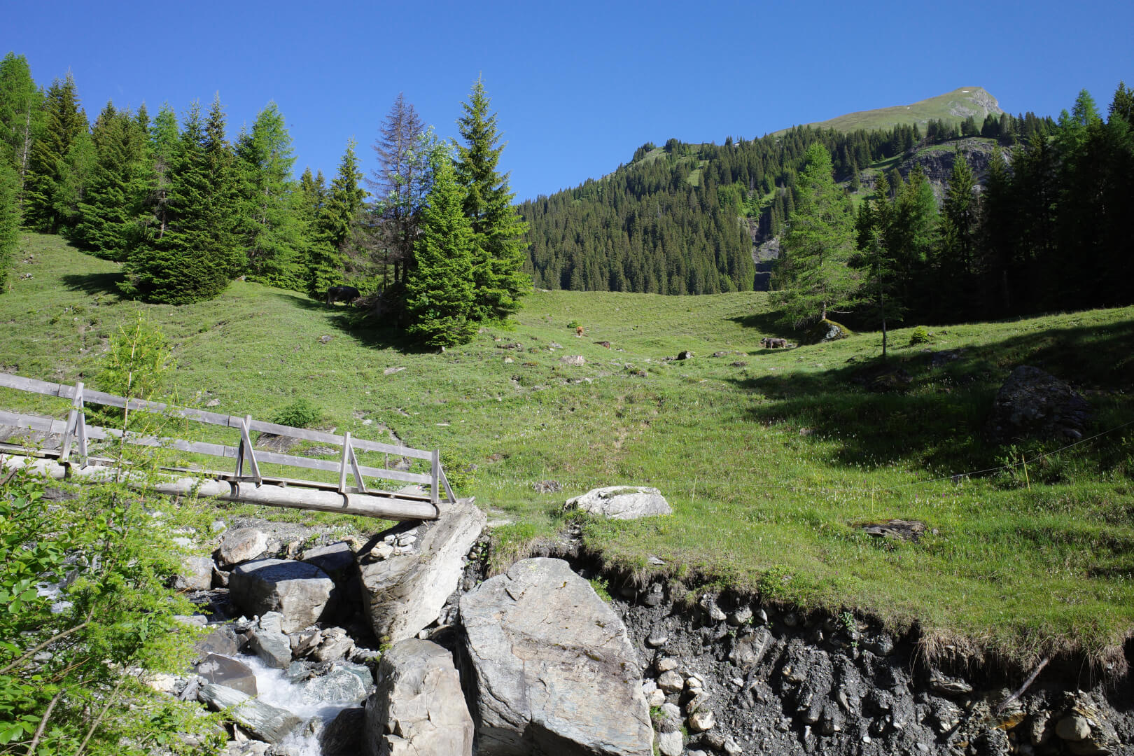 Wanderweg Ebni