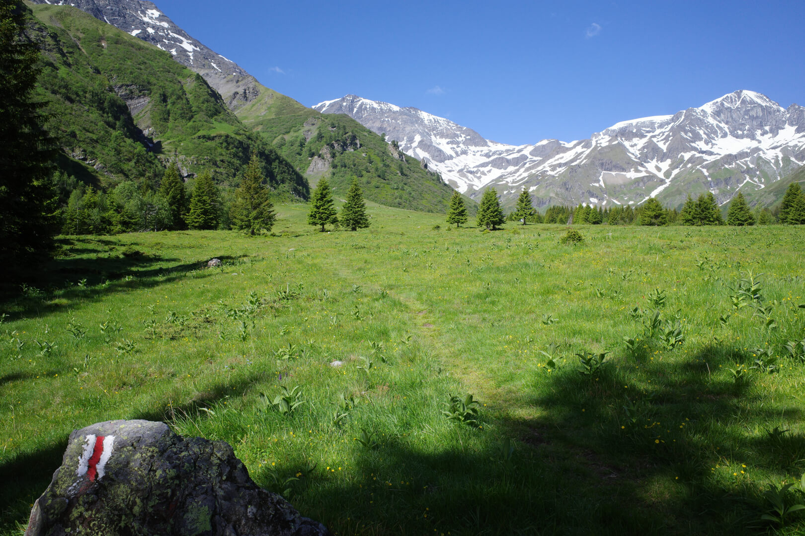 Wanderweg Piz Sardona