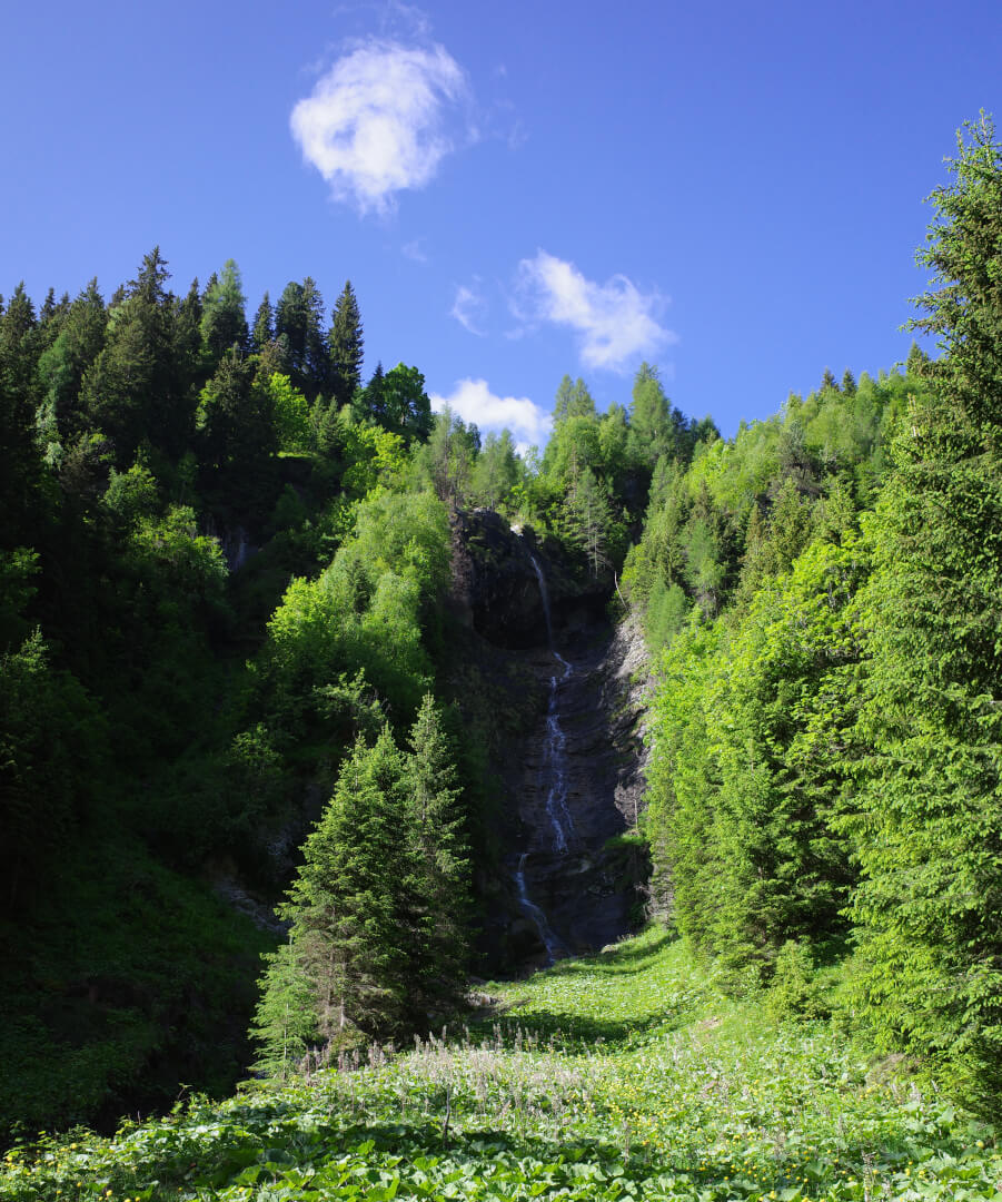 Wasserfall im Frühlingswald