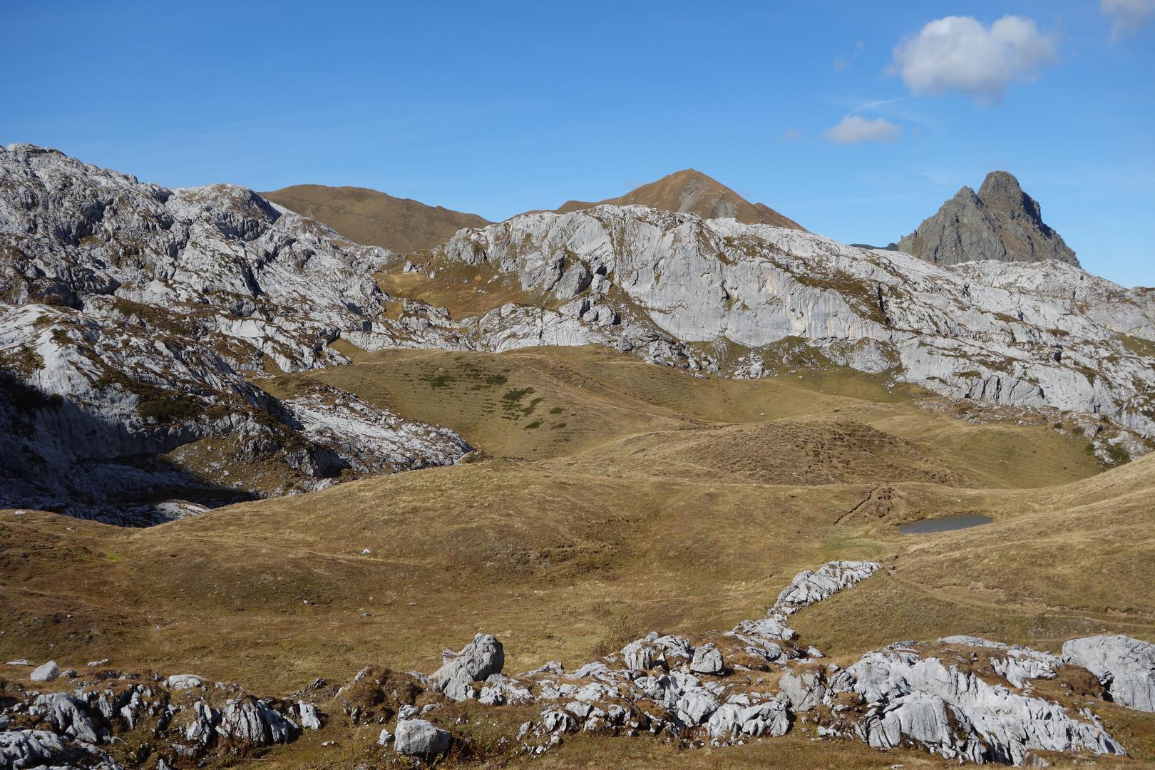 Wanderweg über Wiesen
