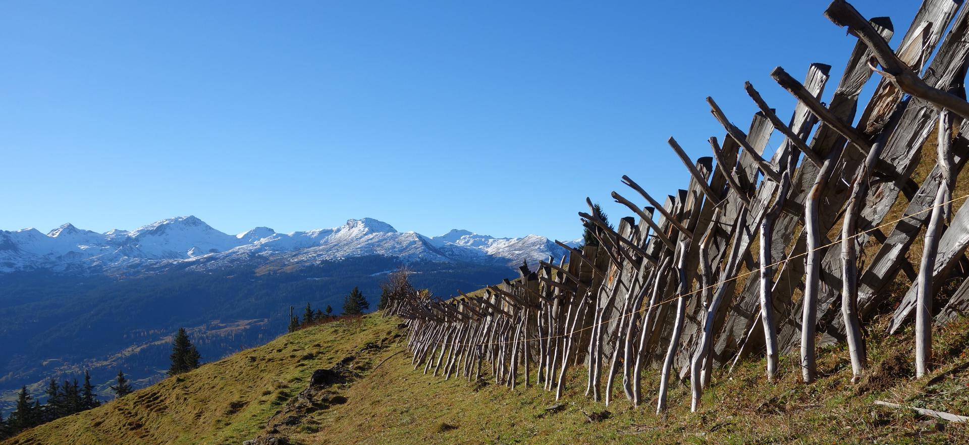 Alter Schrägzaun