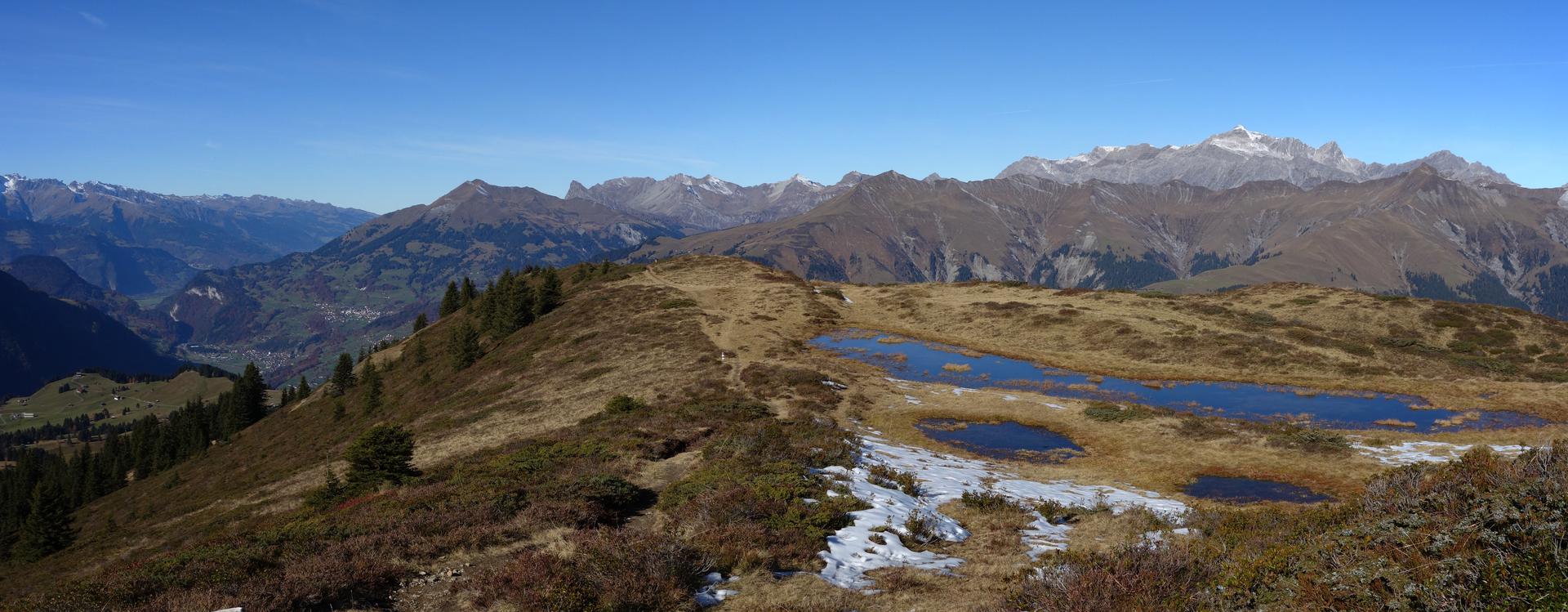 Moorlandschaft