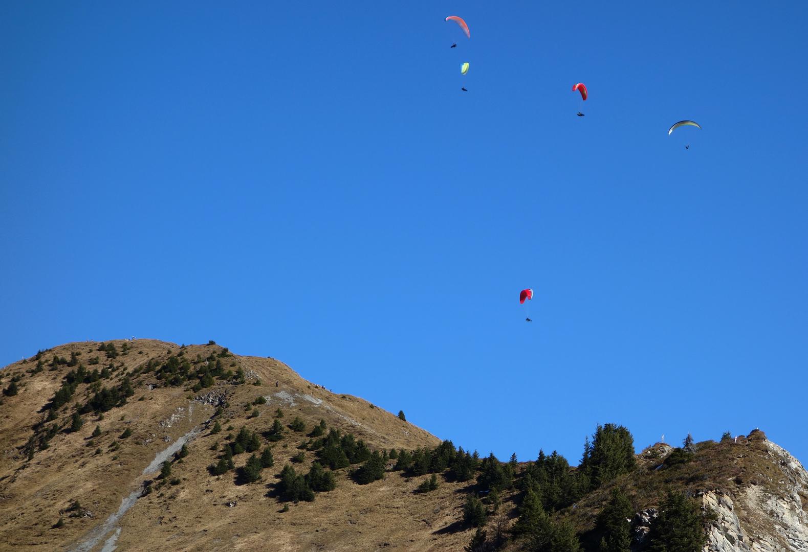 Paraglider