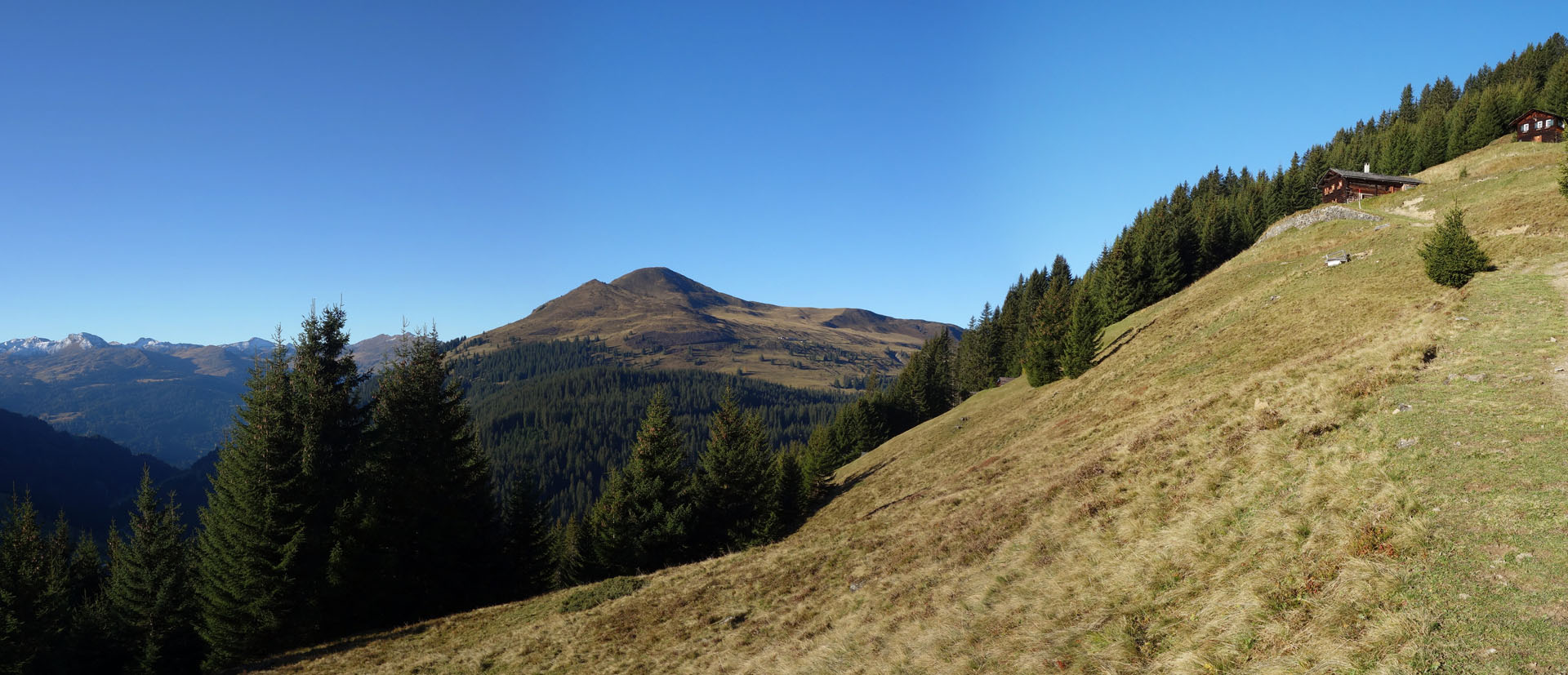 Alpwiese vor Chrüz