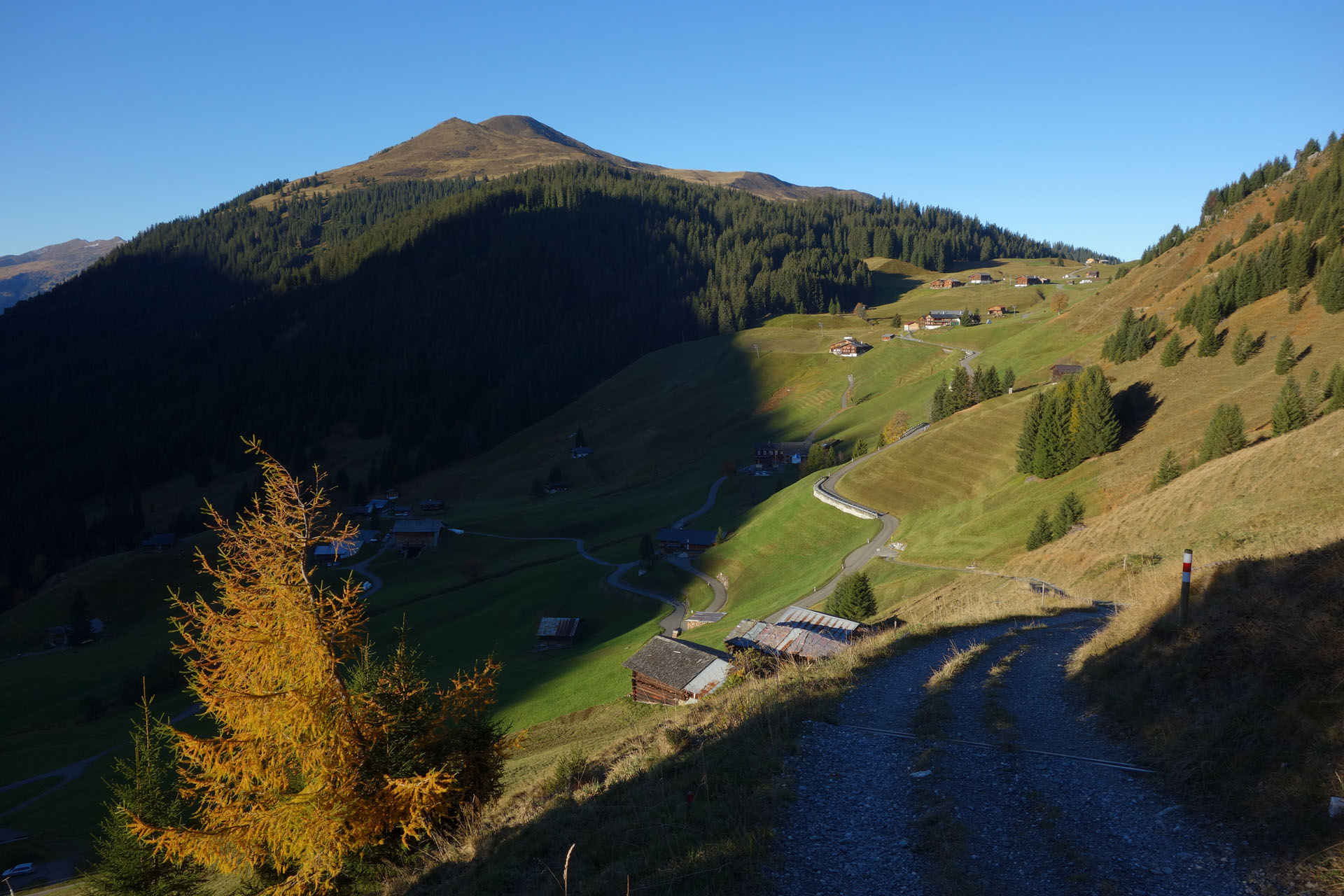 Aschüel