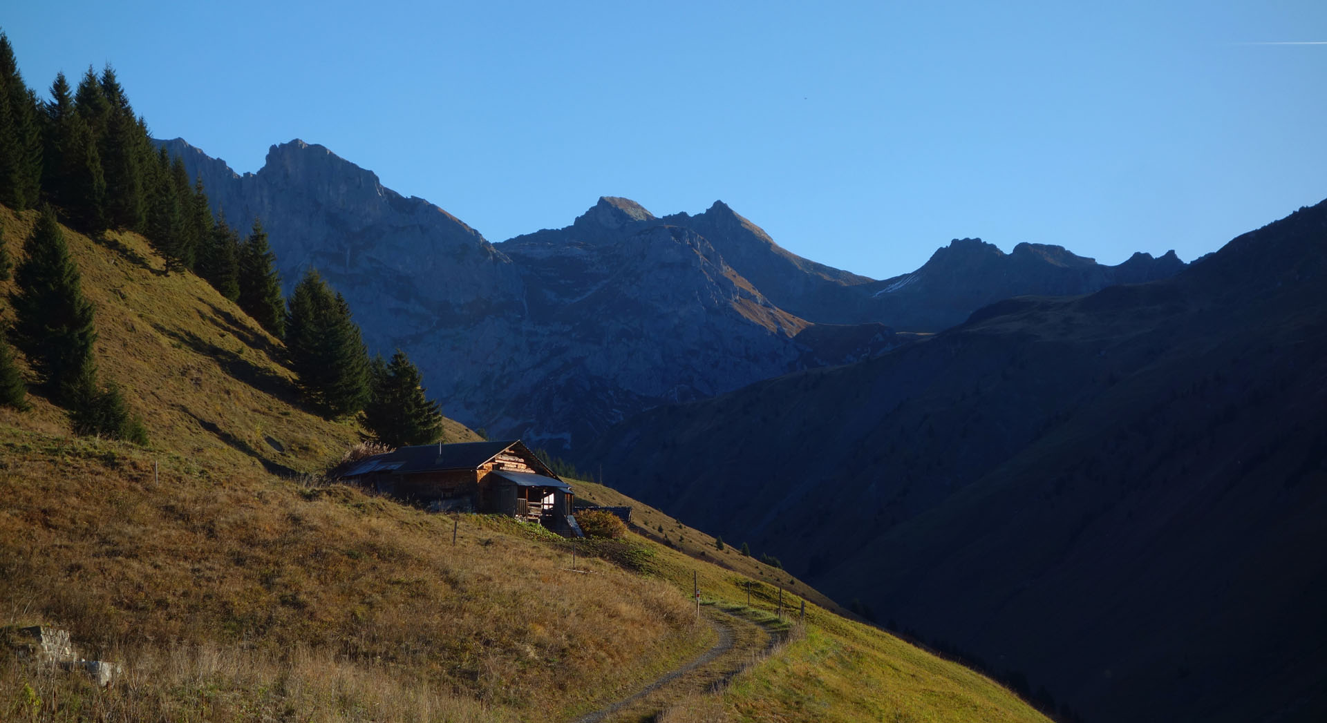 Hartmisch Alp