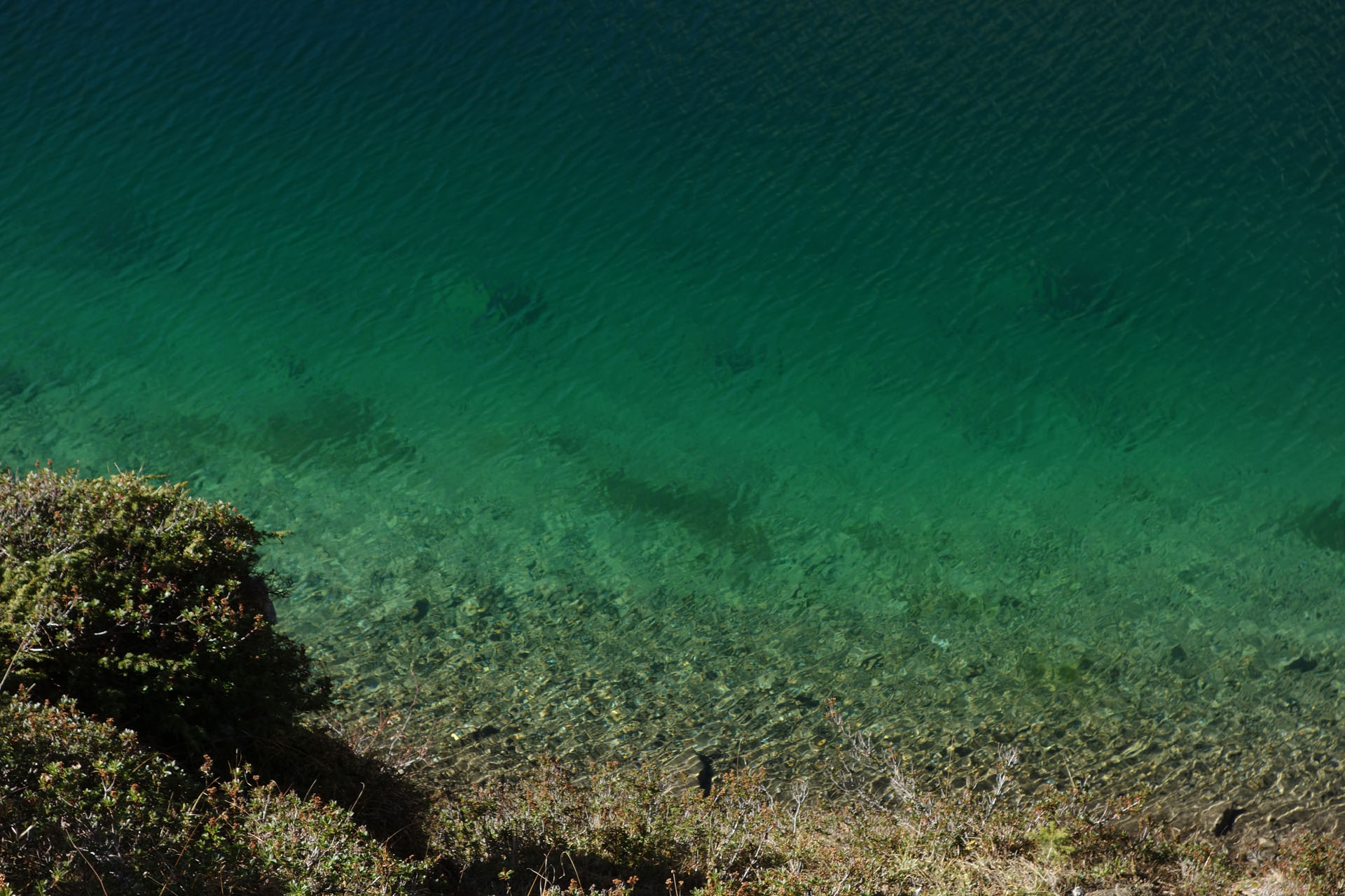 Klarer grüner Bergsee