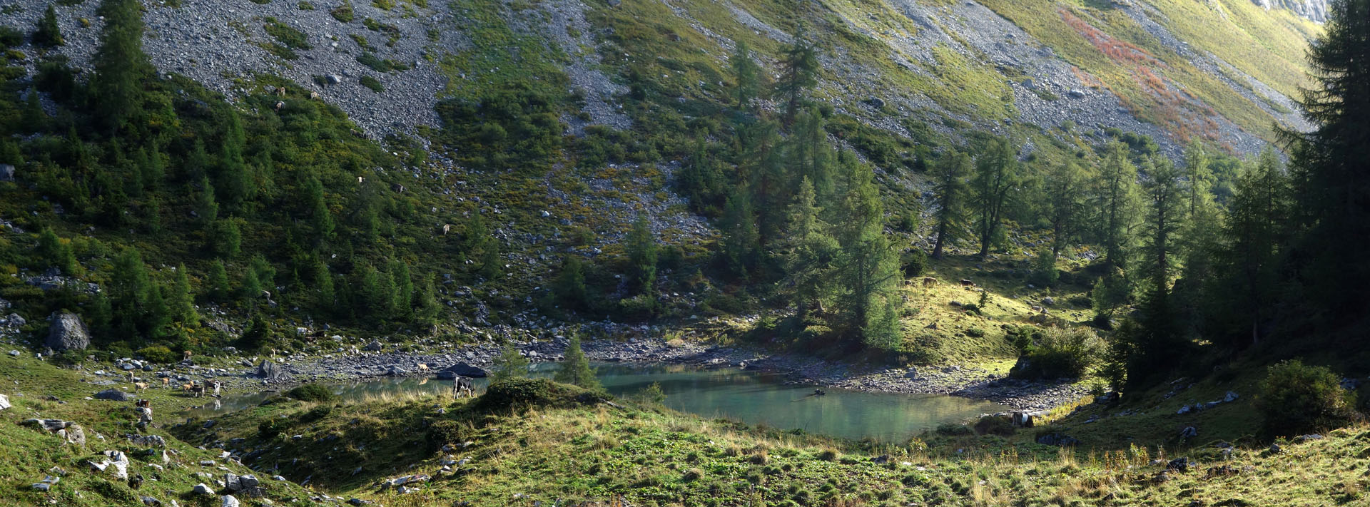Bergsee in Morgensonne