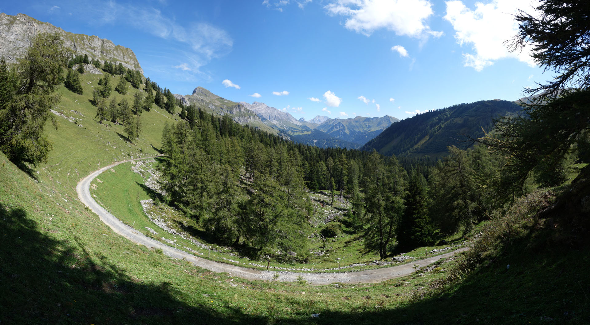Fahrweg Fläscher Alp