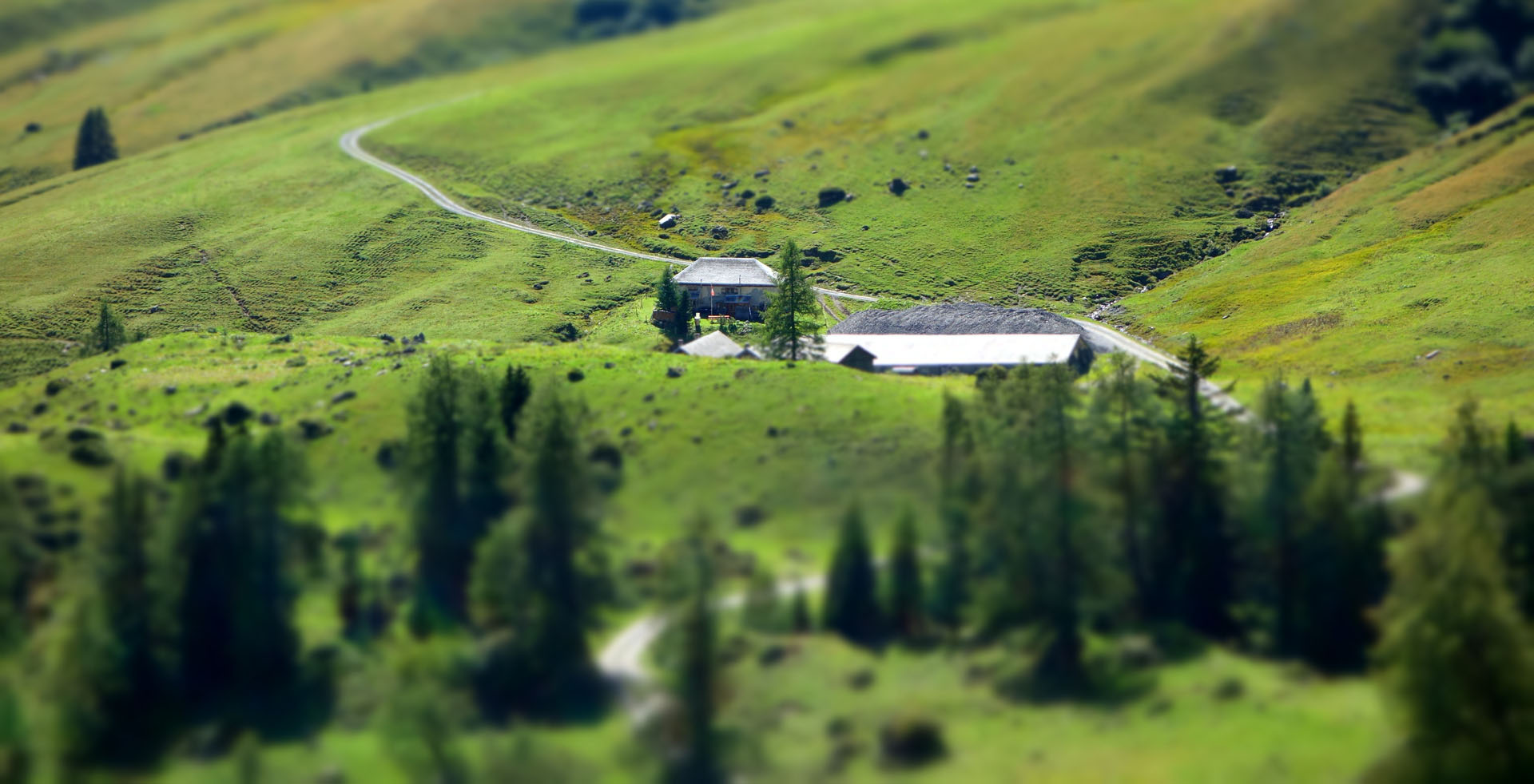 Fläscher Alp Sarina