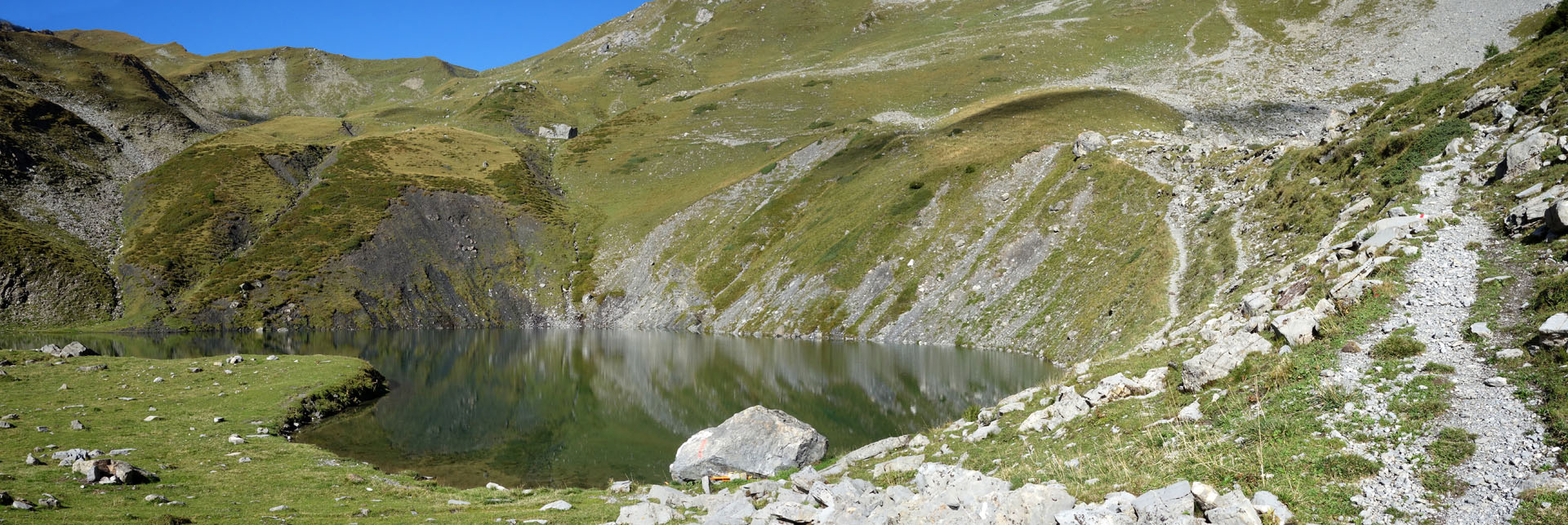 Oberst See