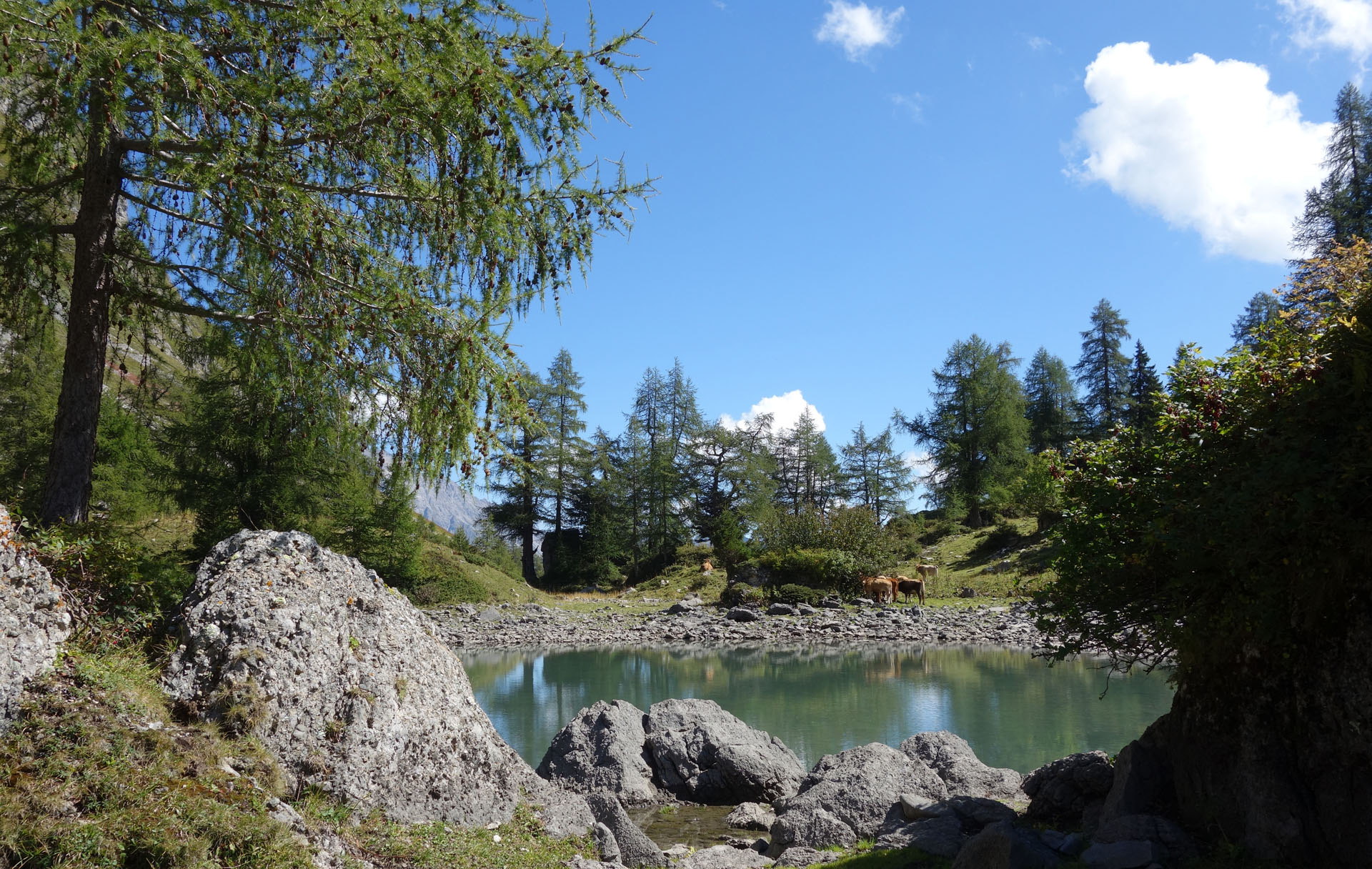 Vorderst See