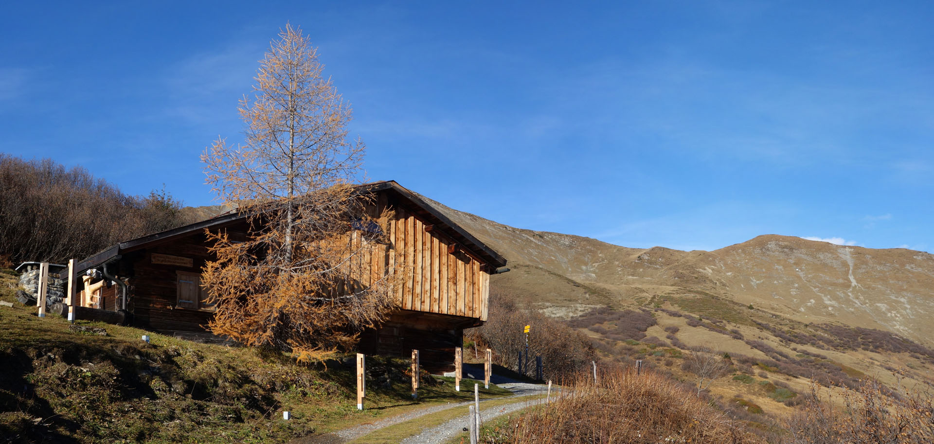 Haus mit Lärche