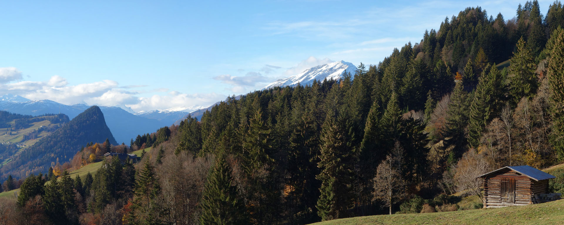 Holzhütte vor Wald