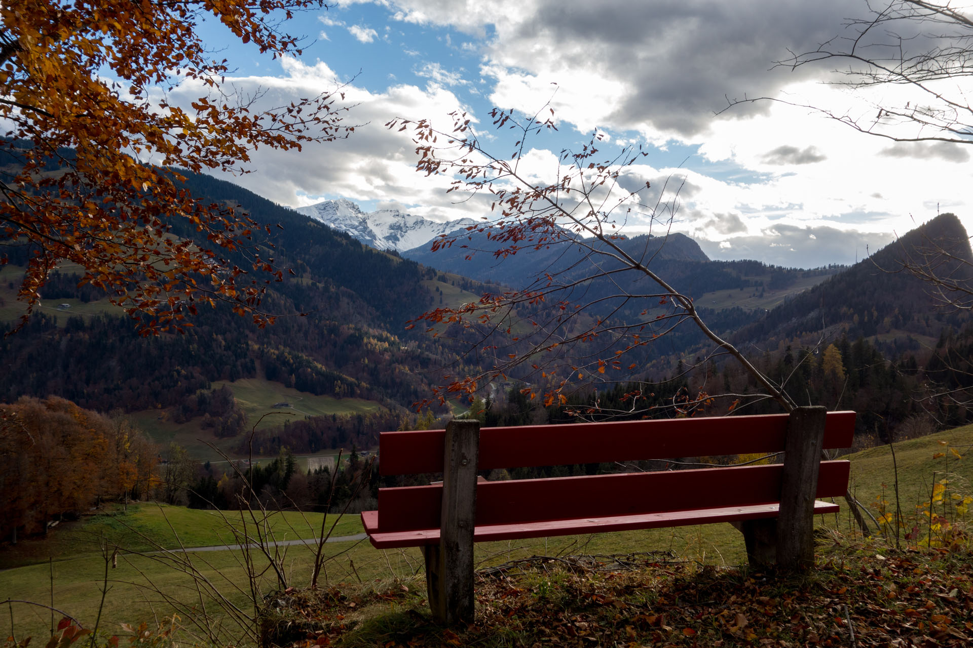 Spazierweg mit Bänken