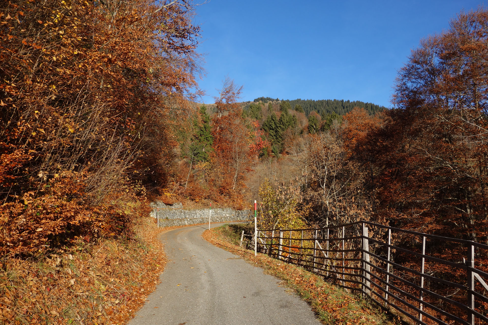 Straße mit Herbstlaub