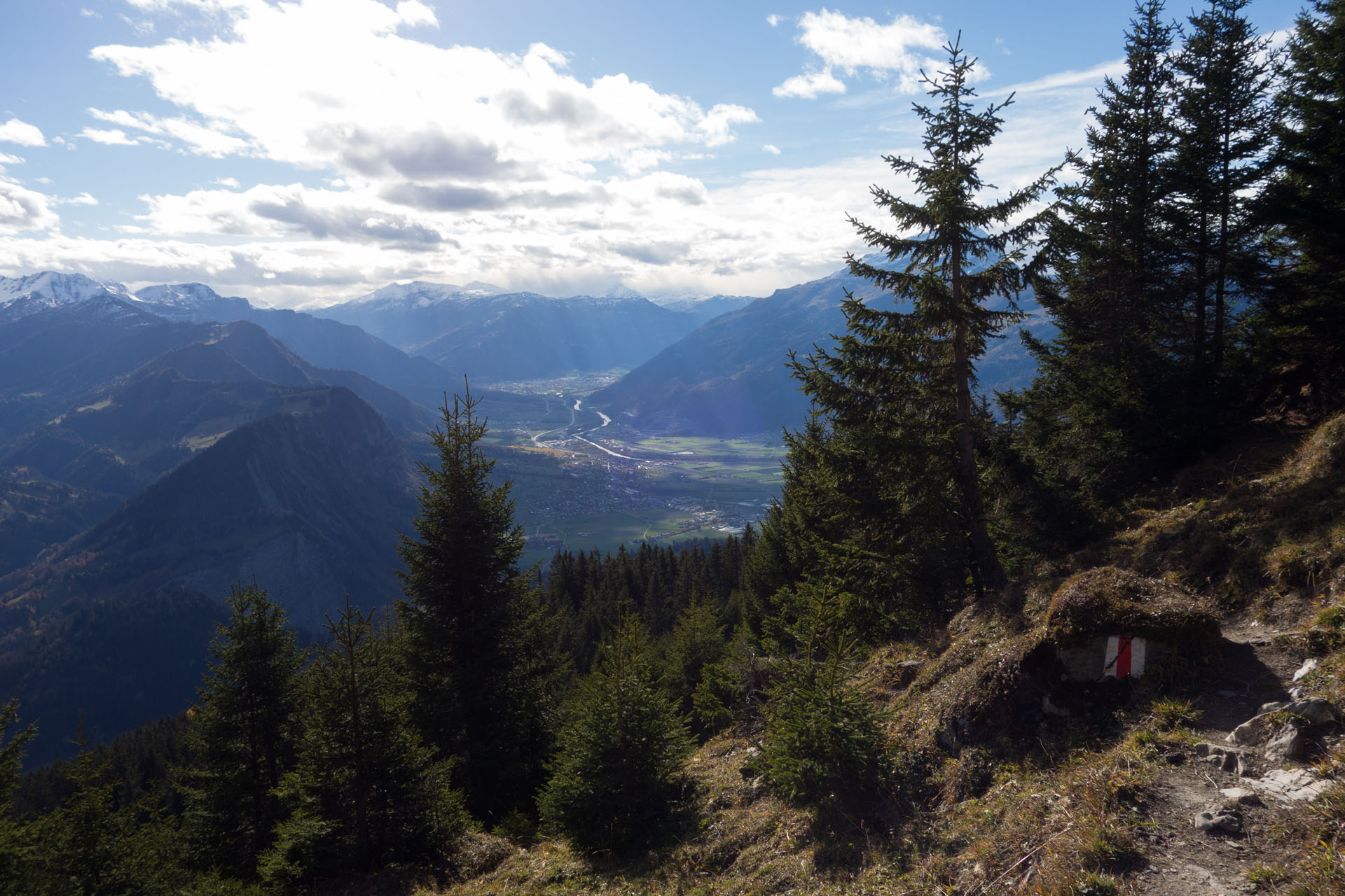 Wanderweg mit Bäumen