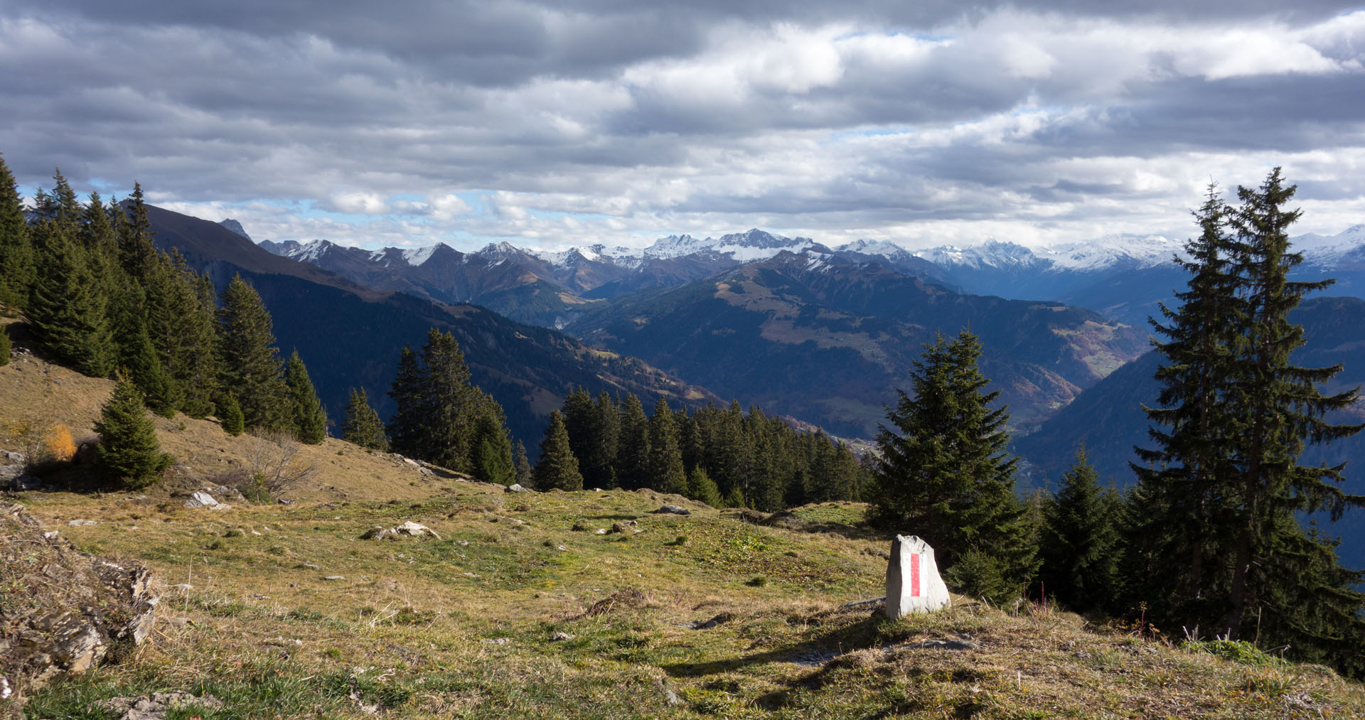 Wanderweg über Wiese