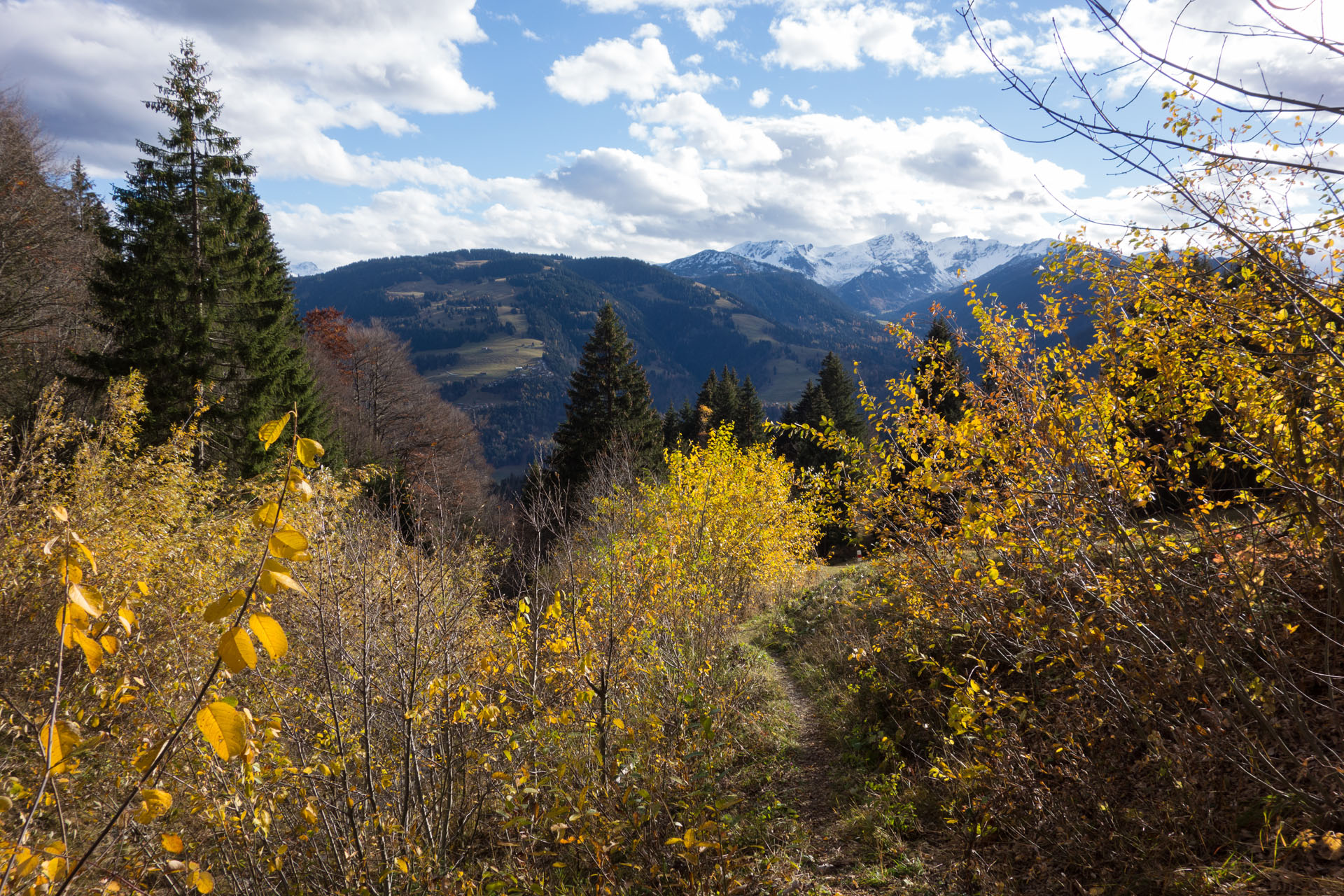 Weg durch Herbstlaub