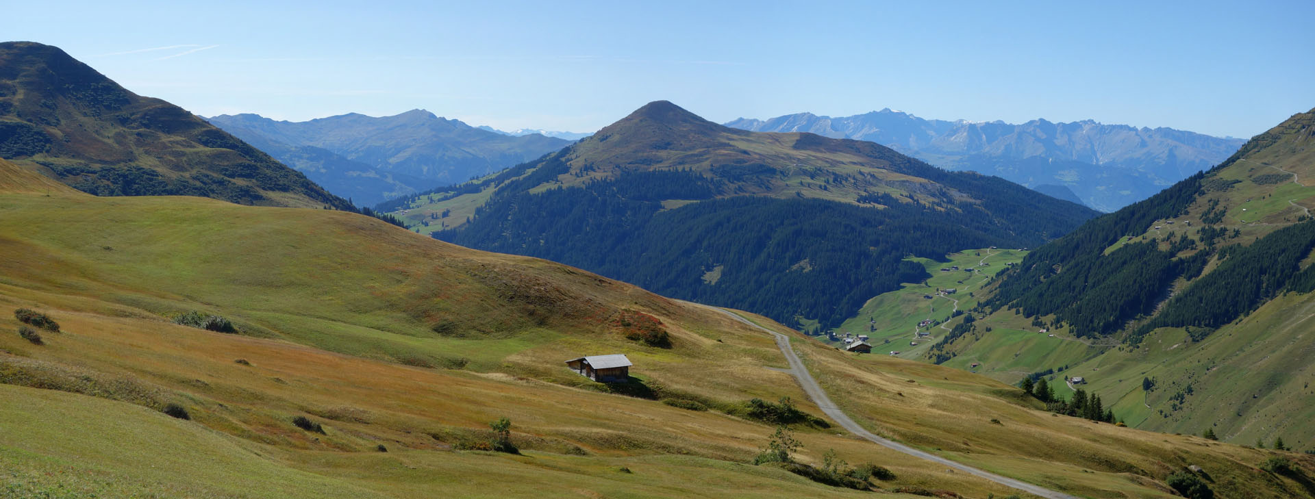 Sanfte Alpwiesen