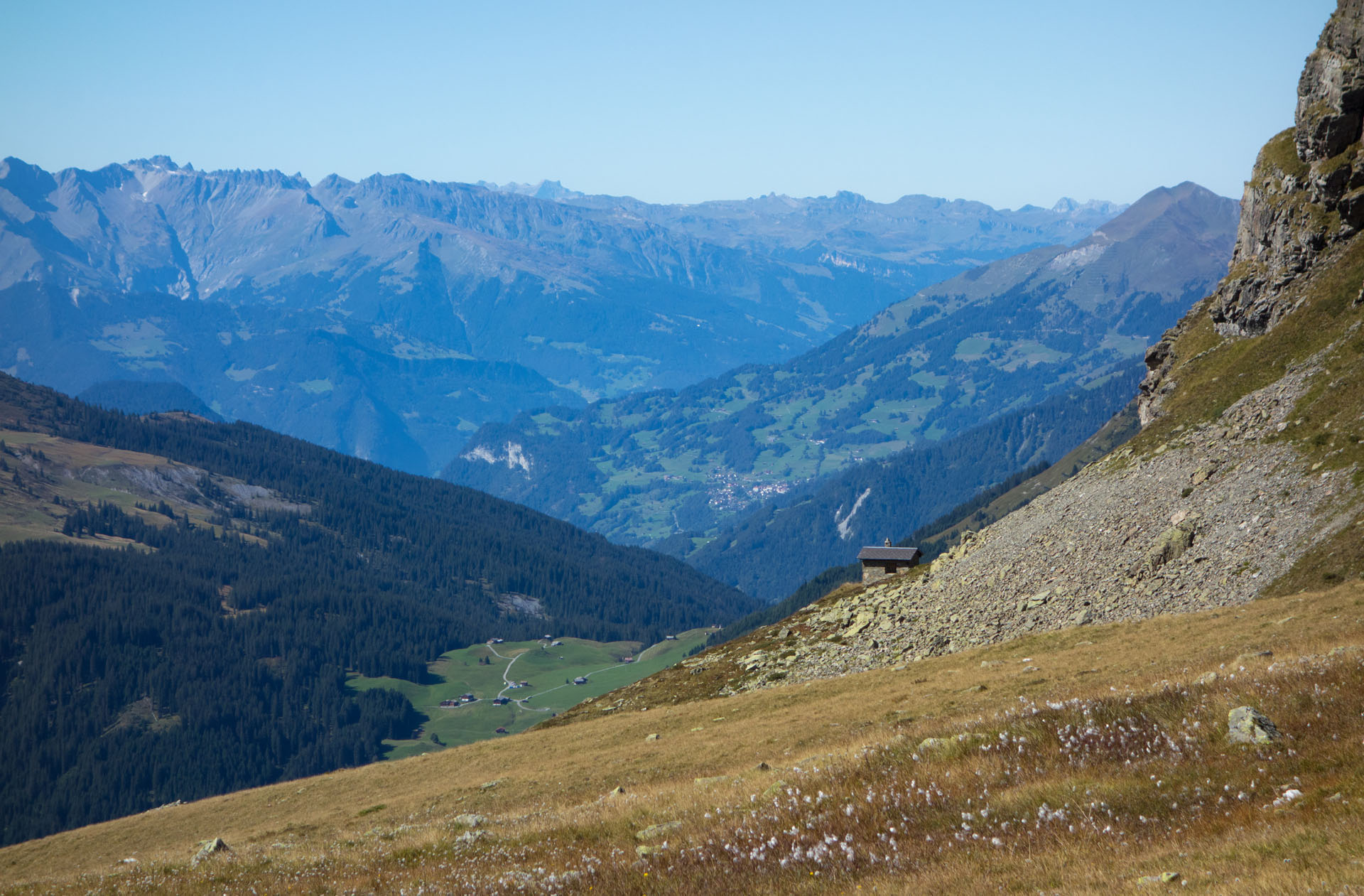 Wollgras mit Hütte