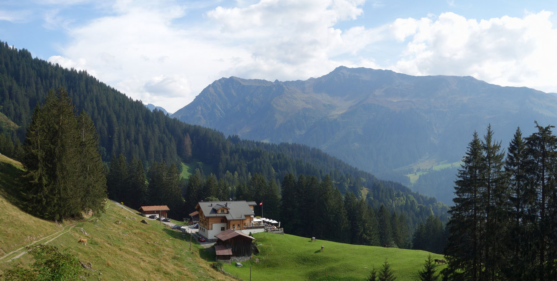 Alpenrösli