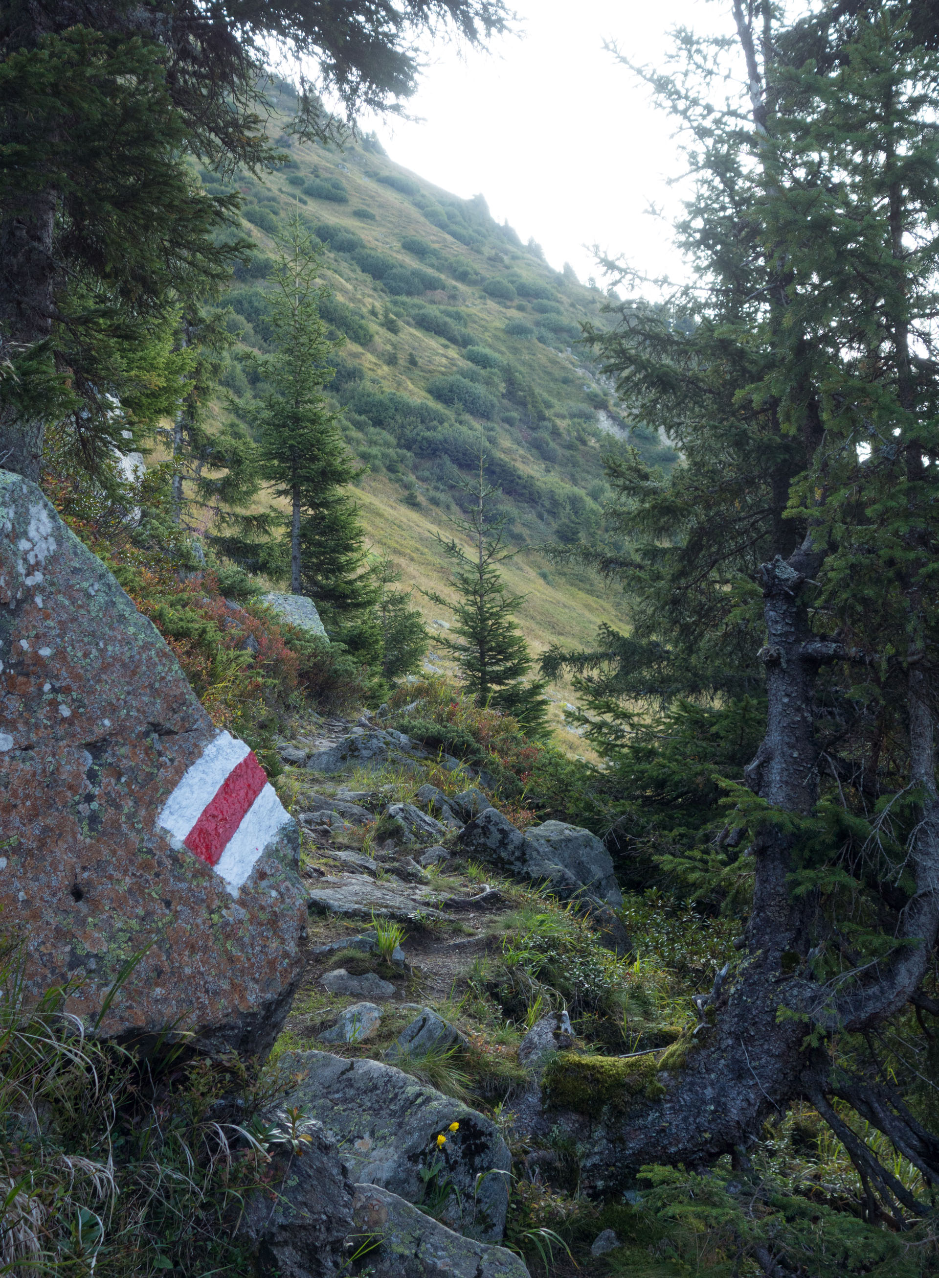 Bergweg