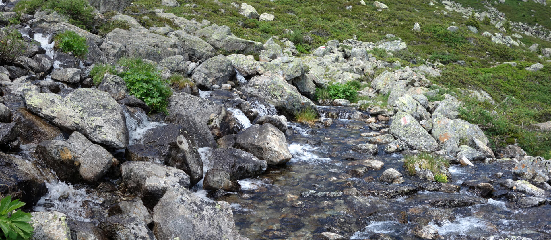 Wanderweg durch Bach