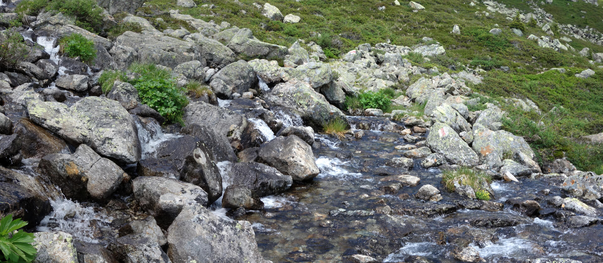 Wanderweg durch Bach