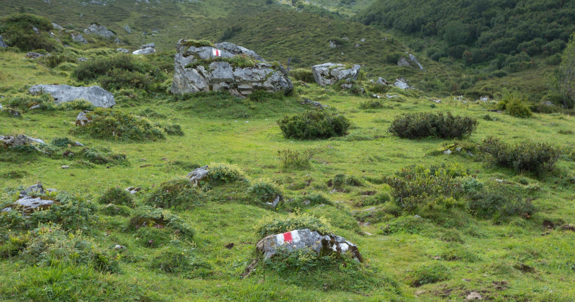 Wanderweg Weberlisch Höli