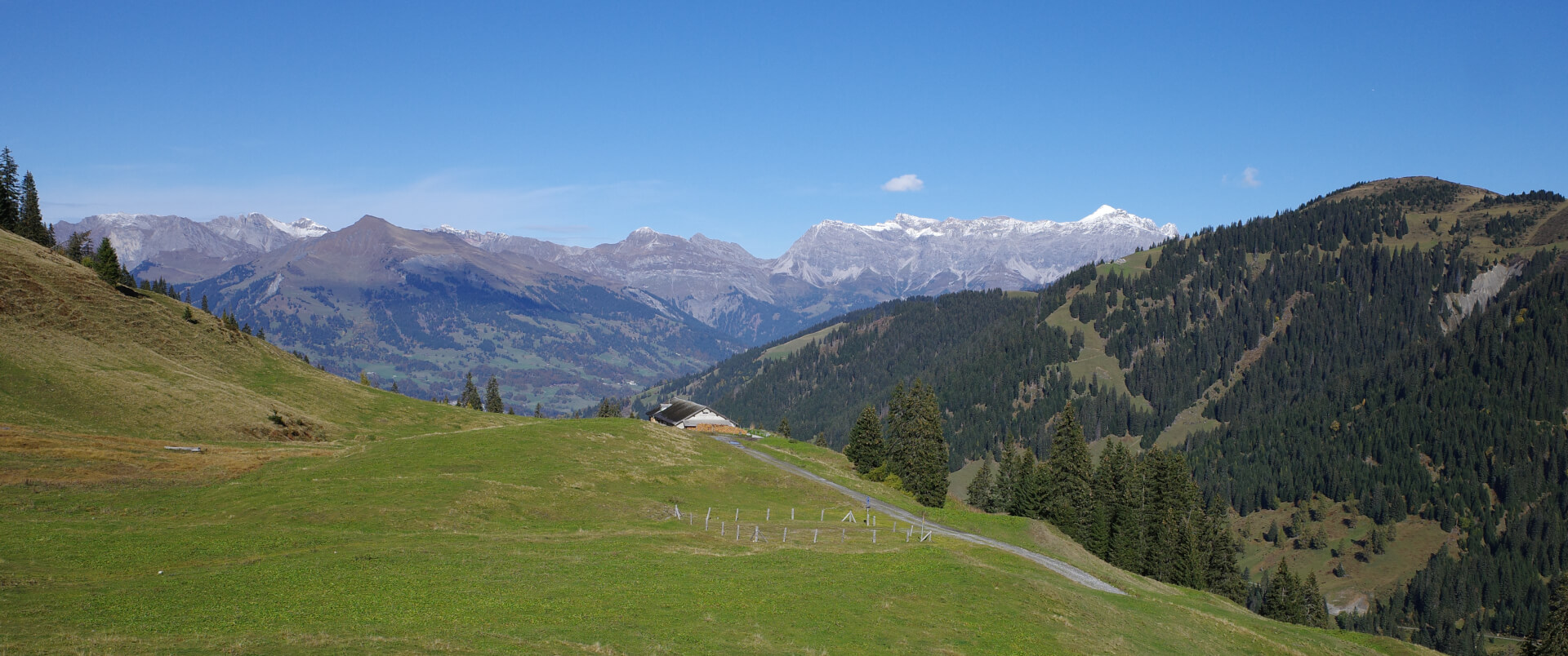 Alp Zanutsch