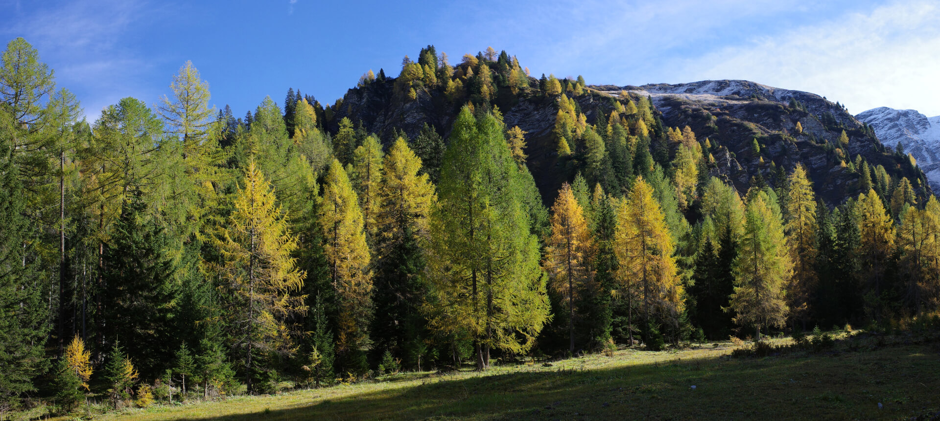 Goldener Oktober