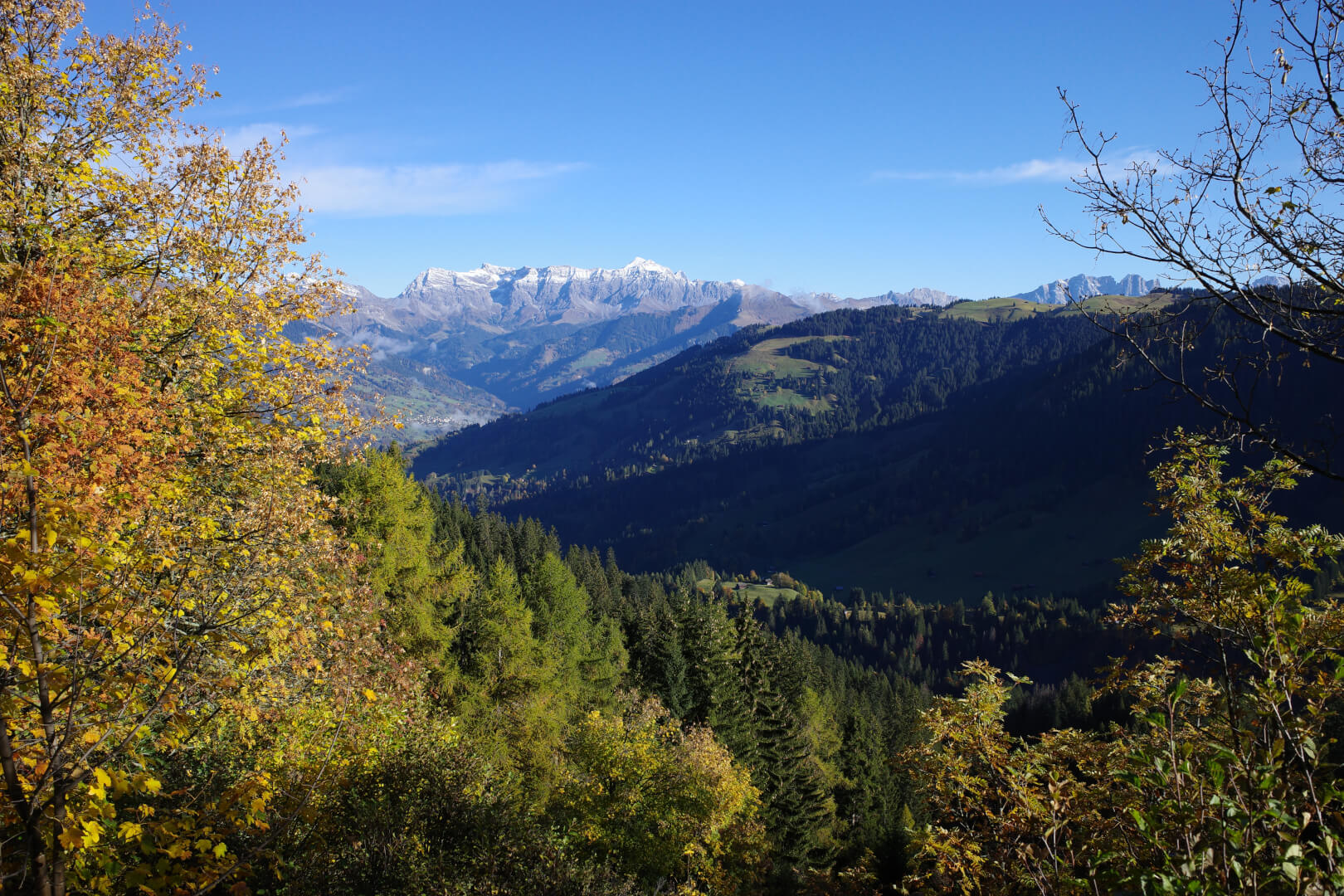 Grüsch Danusa