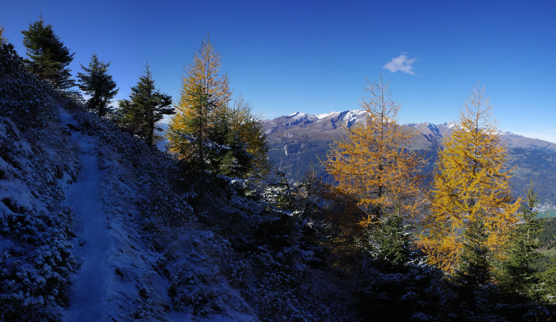 Schattiger Weg