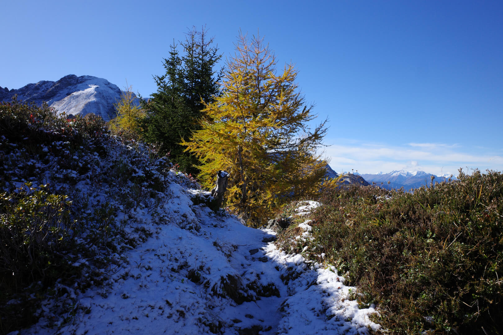 Schnee im Herbst