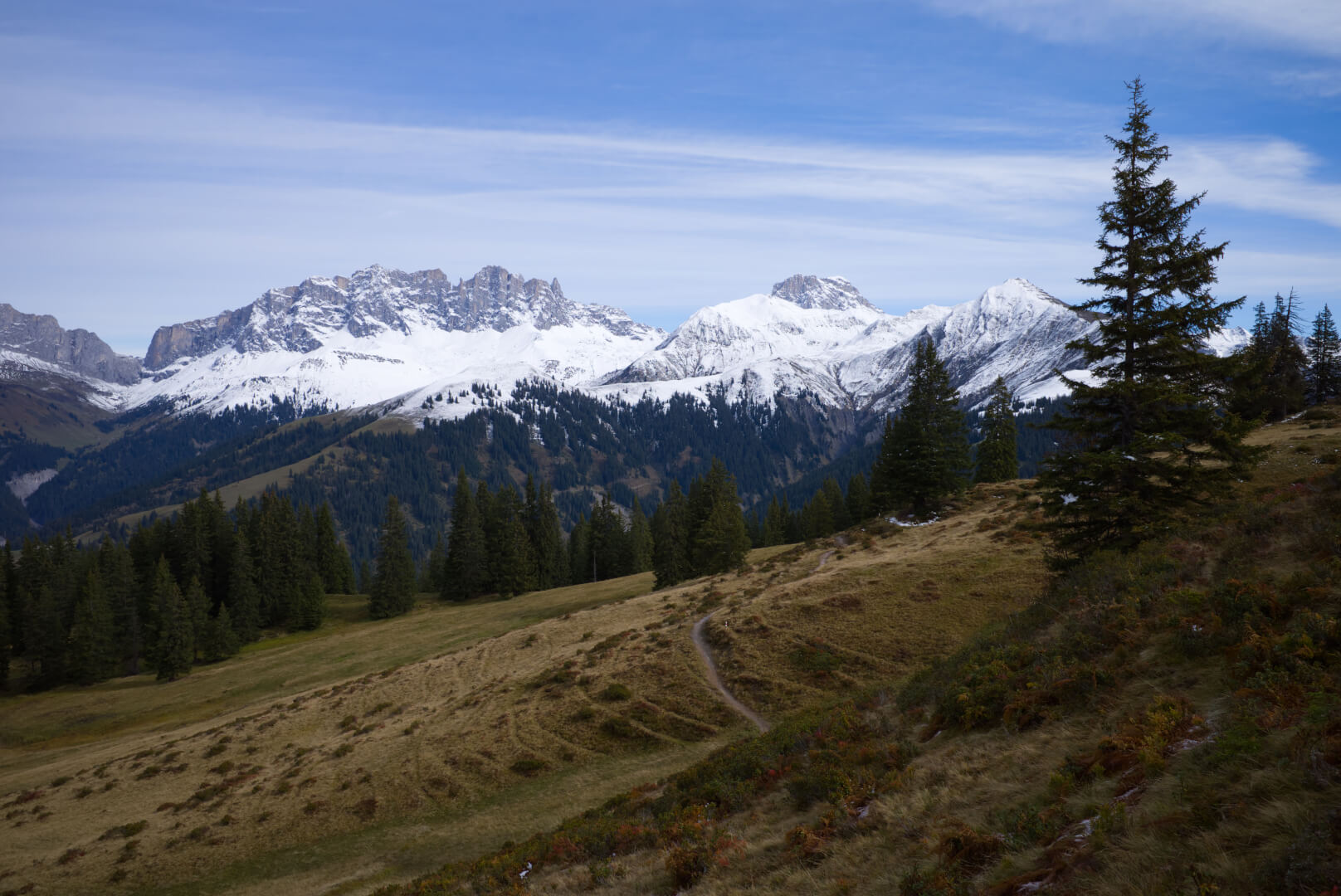 Herbstwiesen