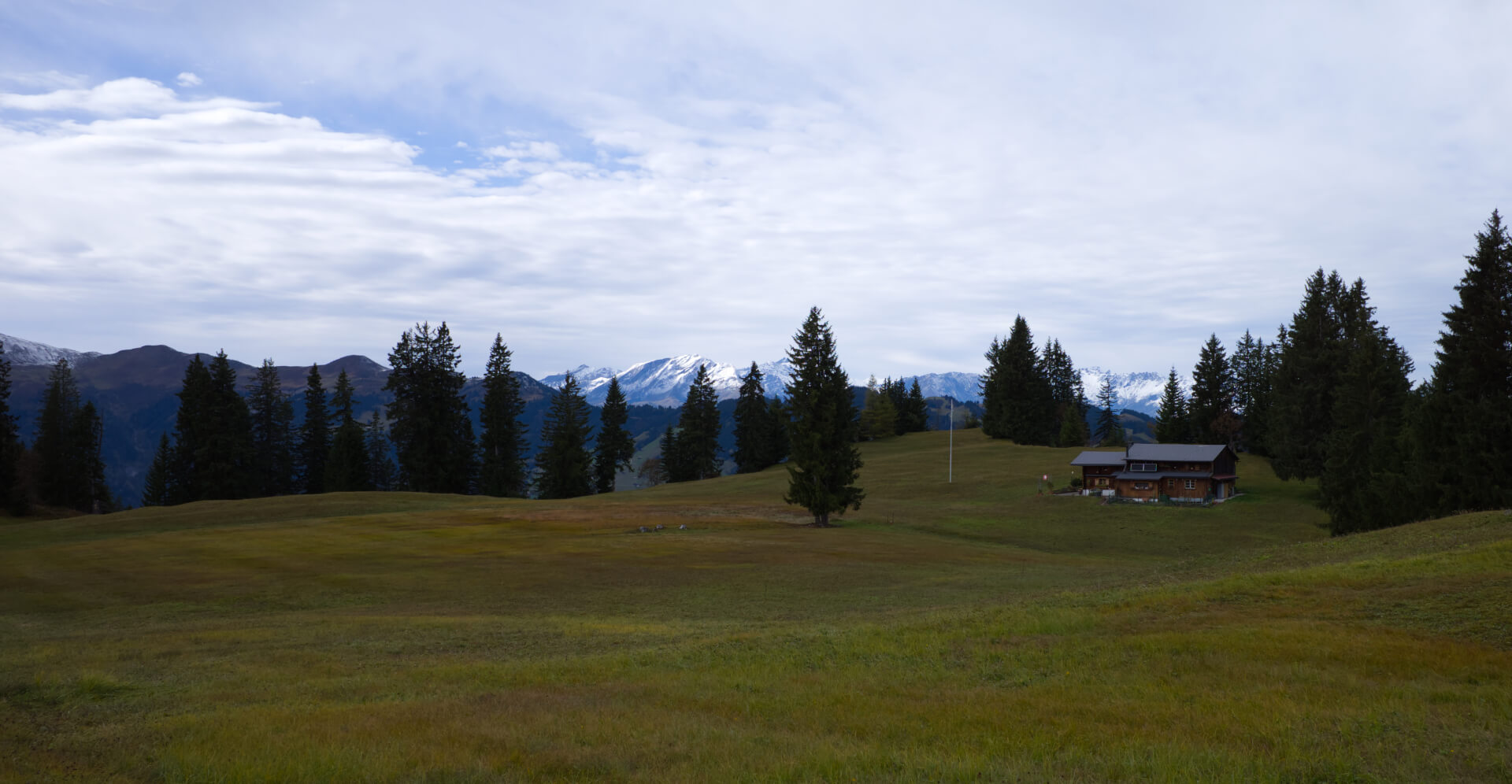 Moorwiesen Tratza