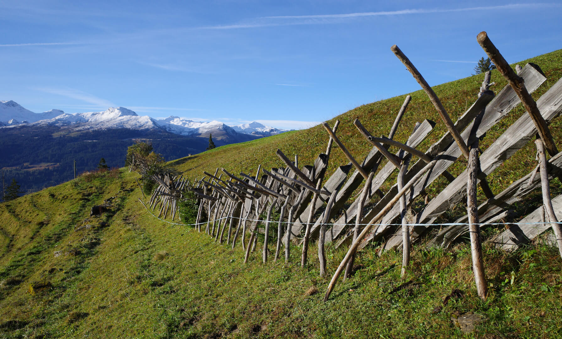 Schrägzaun