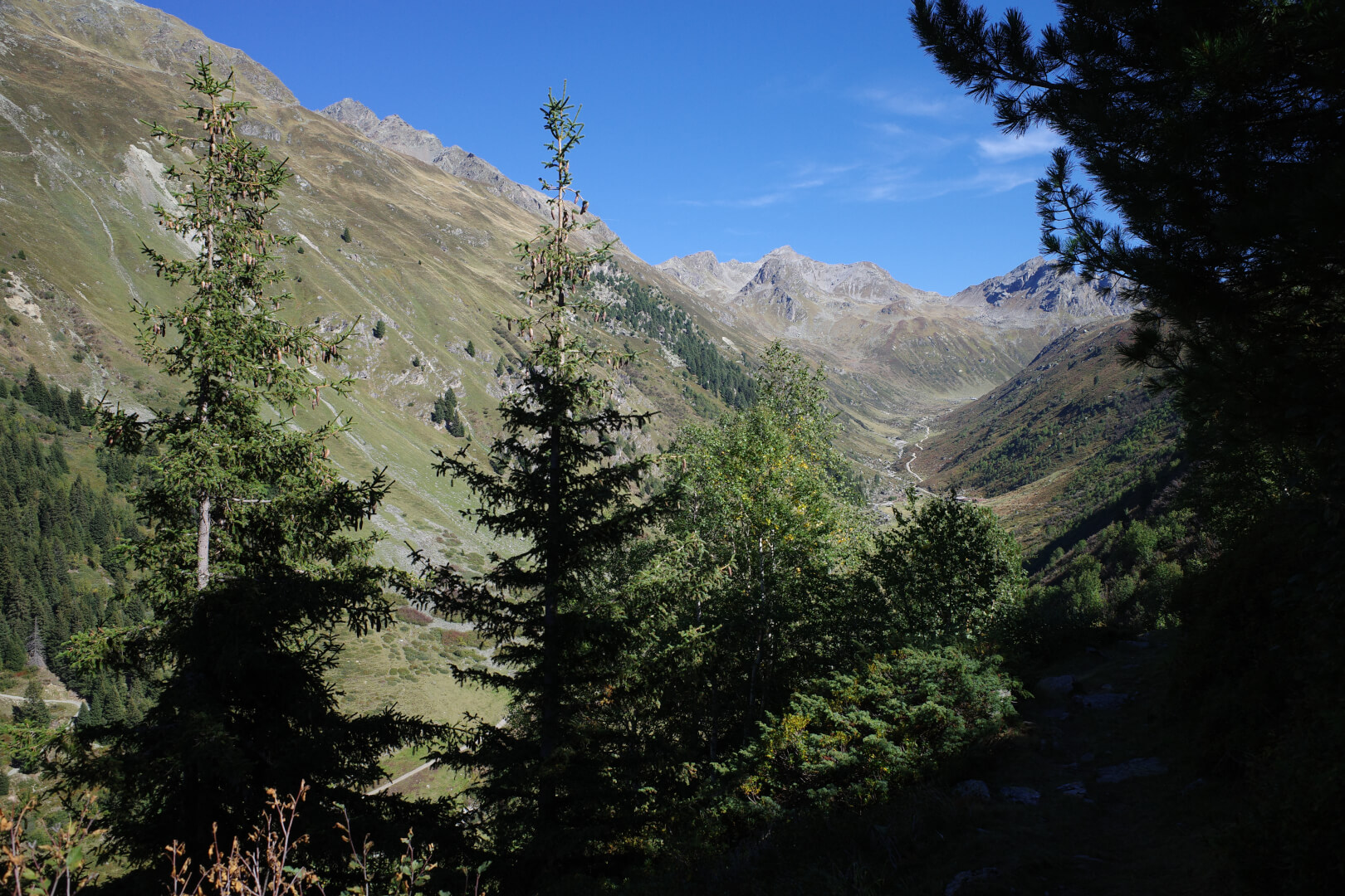 Alpweg