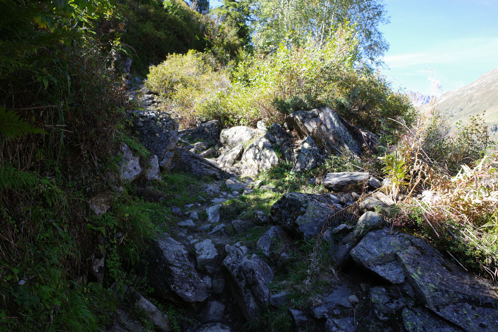 Alter Weg