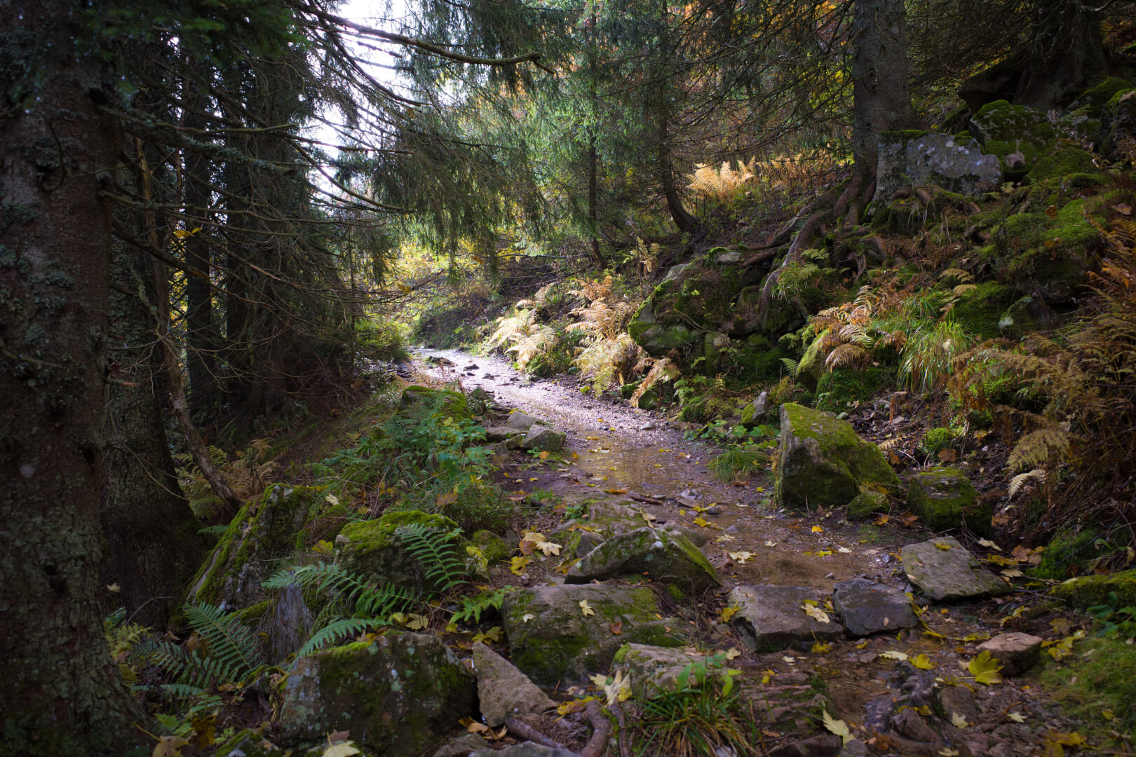 Herbstwanderung